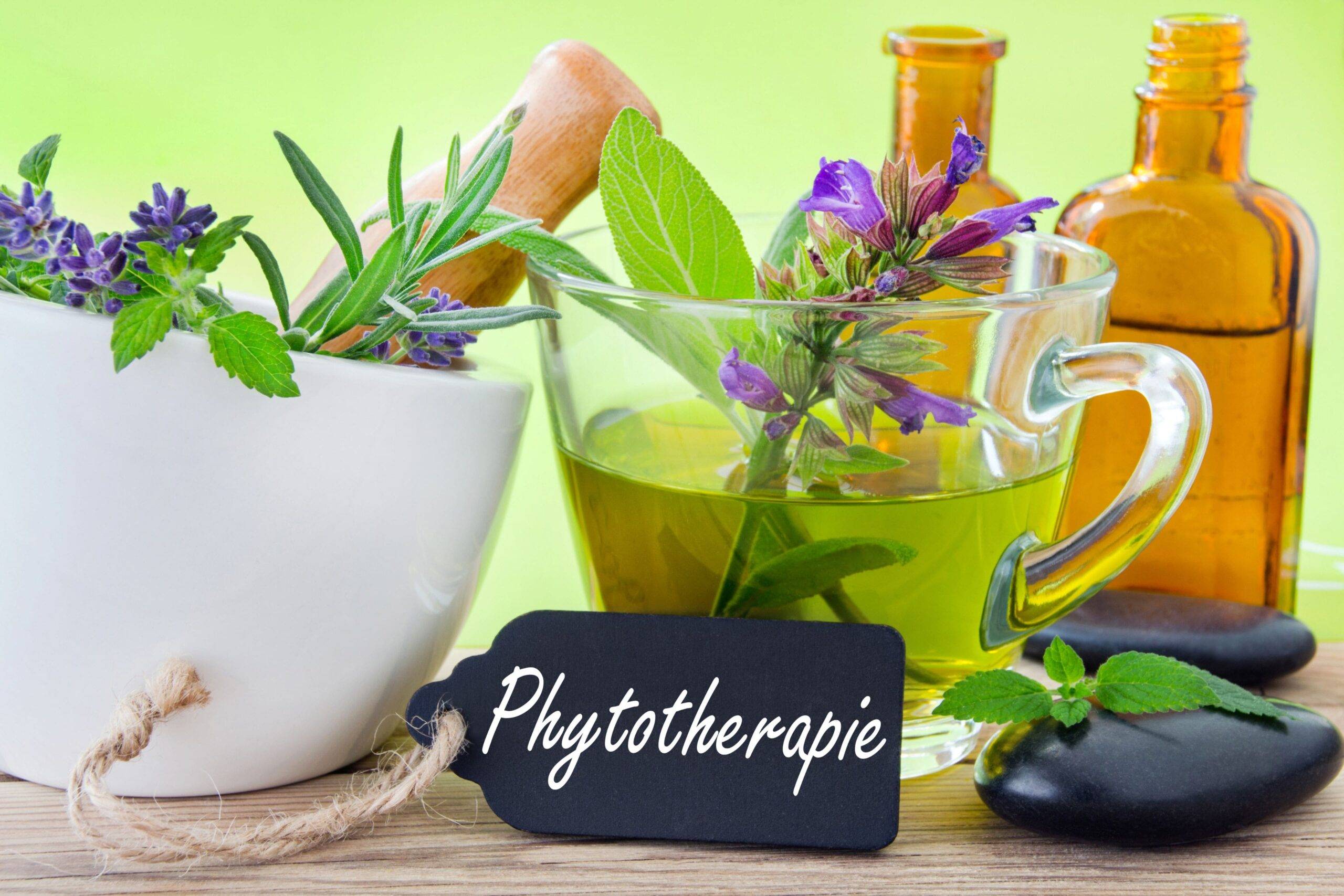 fitoterapia naturopata